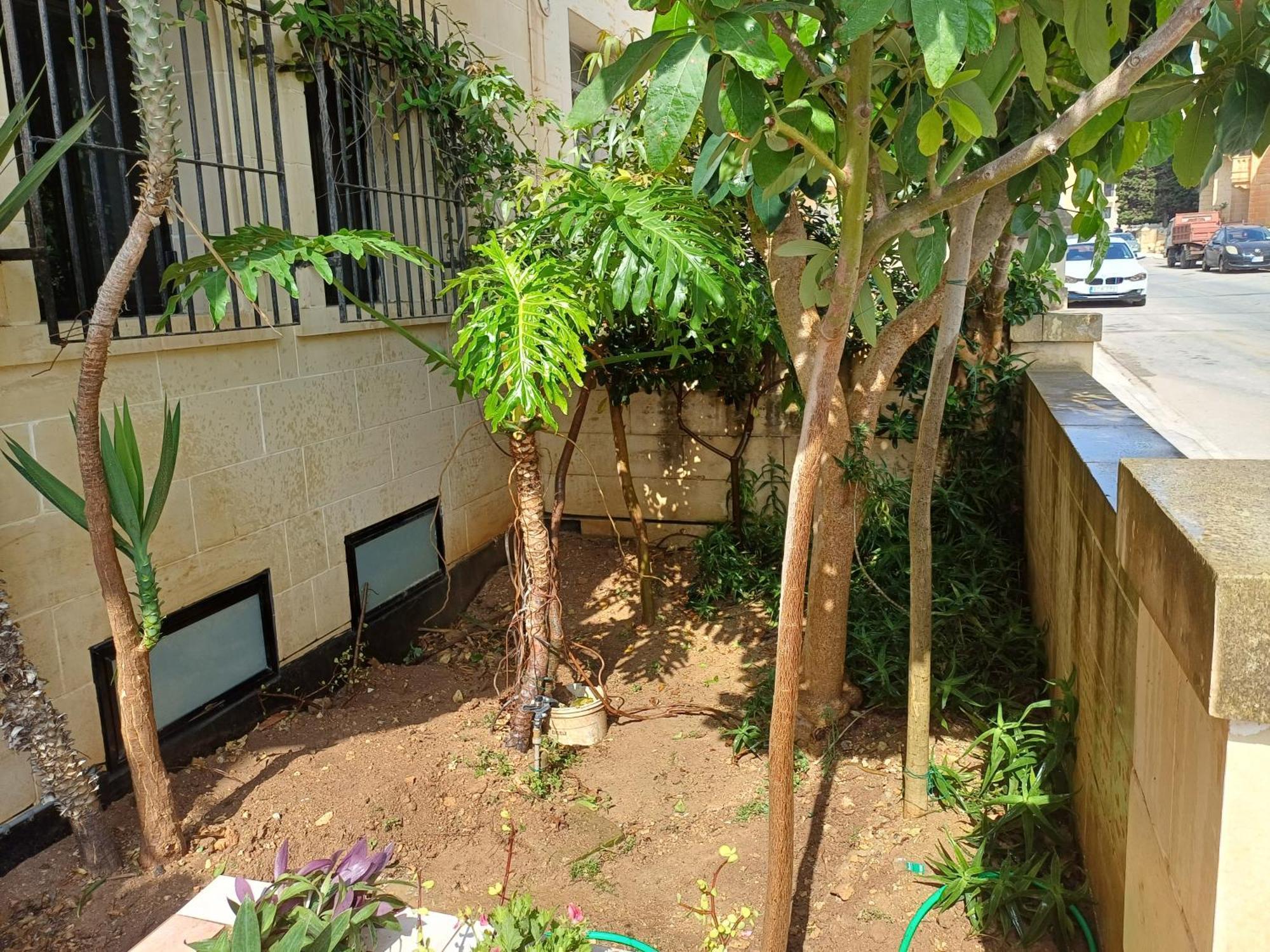 Cosy Spacious Maisonette *